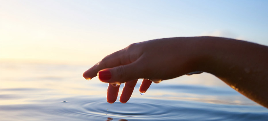 alzheimer fases y duracion