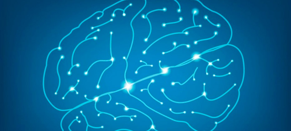 cerebro con alzheimer sin alzheimer