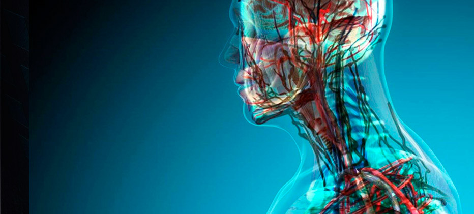 que es la enfermedad de friedreich