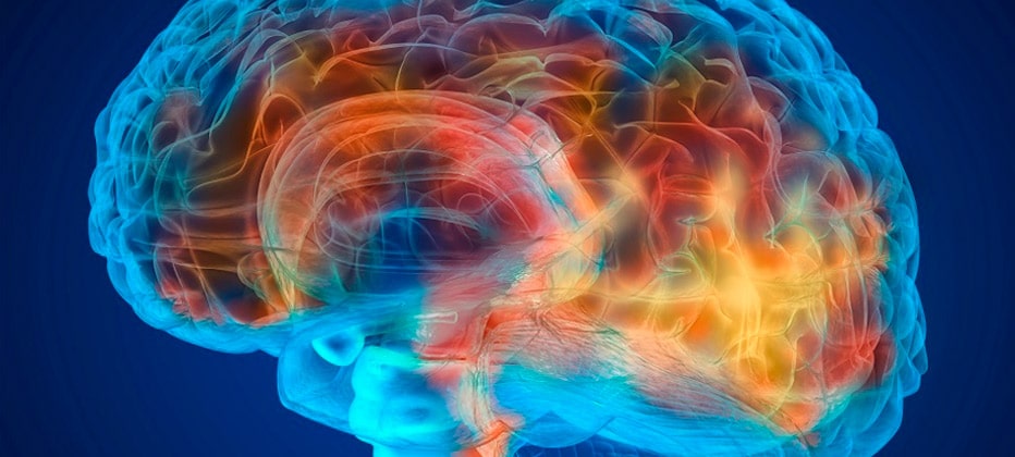bei alzheimer betroffene areale des gehirns