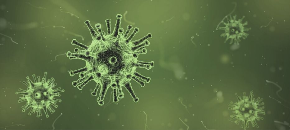 consejos adultos mayores covid19