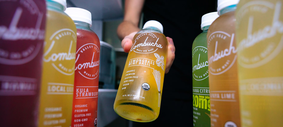 como ayuda la kombucha a tu intestino