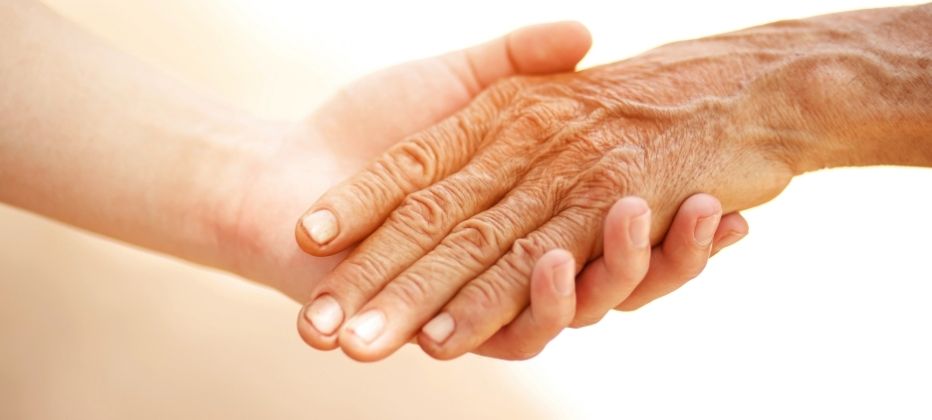 microbiota enfermedad parkinson