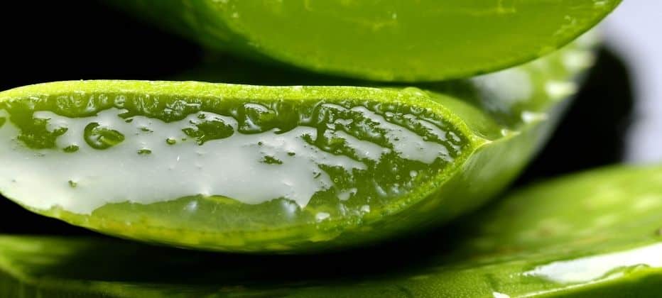 aloe vera parkinson1