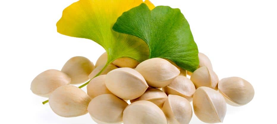 Ginkgo biloba und seine gesundheitlichen vorteile