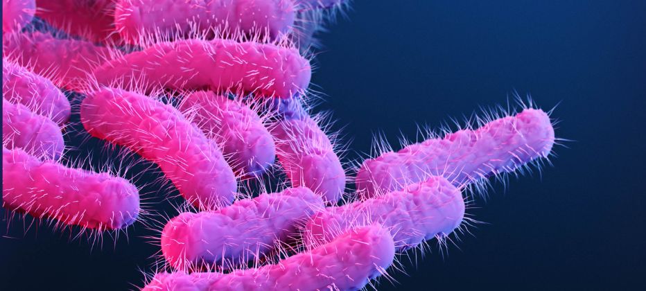 que es la desmielinizacion