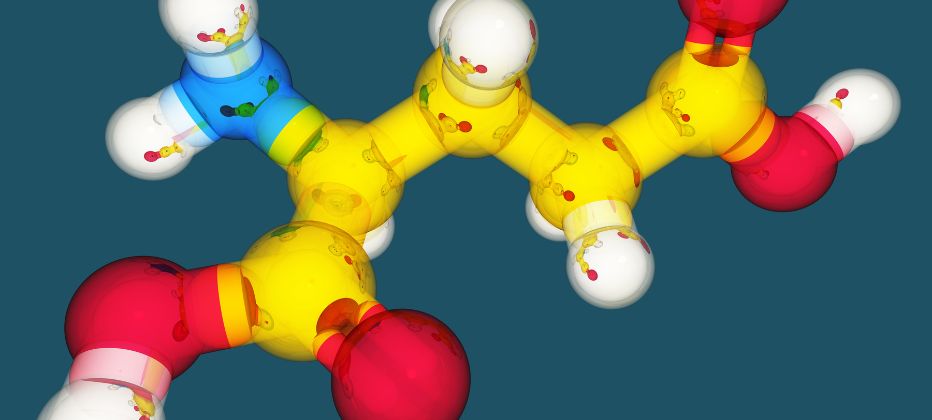 glutamato que es y donde se encuentra