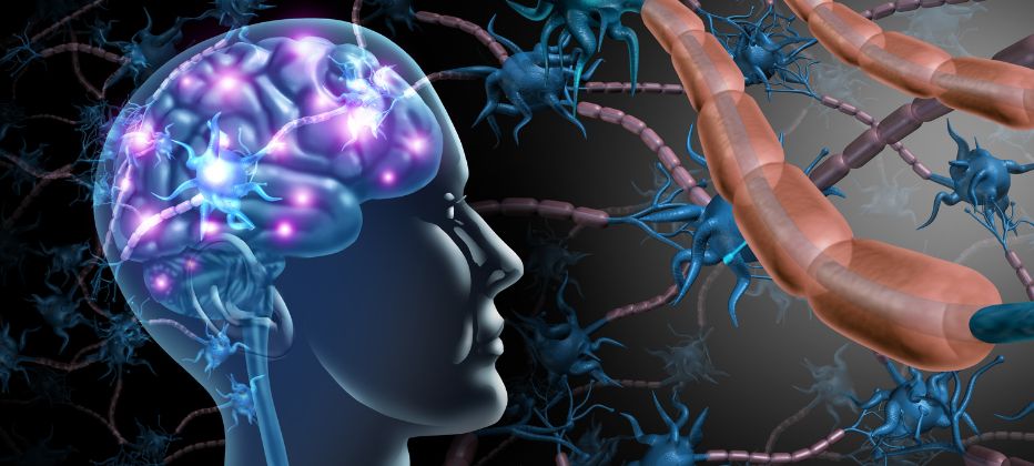 neuroestimulacion-que-es-y-que-ventajas-tiene