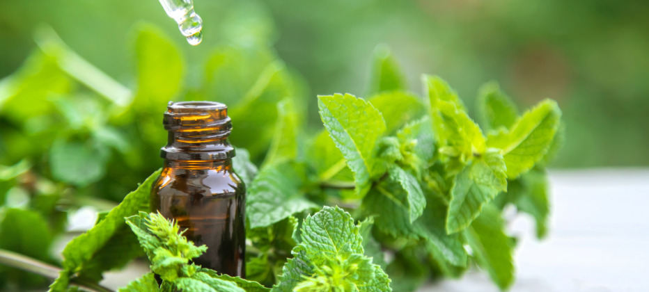 beneficios de la inhalacion del mentol y alzheimer