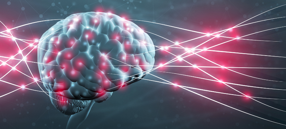 sistema-glinfatico-01