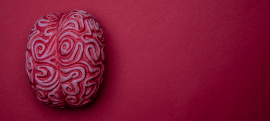 prosencefalo-basal-y-alzheimer-vinculo-clave-en-la-demencia